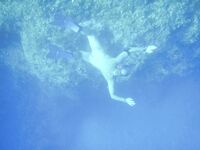 Somewhere Between Curiosity and Confidence 2