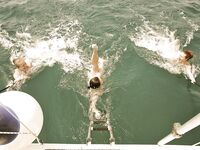 Somewhere Between Curiosity and Confidence 2