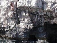 Somewhere Between Curiosity and Confidence 2