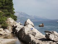 Somewhere Between Curiosity and Confidence 2