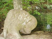 Somewhere Between Curiosity and Confidence 3