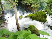 Somewhere Between Curiosity and Confidence 3