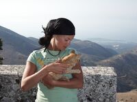 Somewhere Between Curiosity and Confidence 3