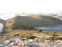 Somewhere Between Curiosity and Confidence 4