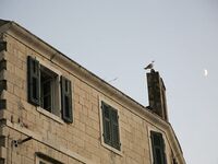 Somewhere Between Curiosity and Confidence 4