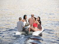 Somewhere Between Curiosity and Confidence 4