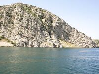 Somewhere Between Curiosity and Confidence last