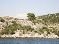 Somewhere Between Curiosity and Confidence last