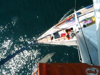 Somewhere Between Curiosity and Confidence last