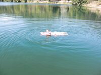 Оглядывается с улыбкой на скалистом берегу