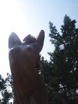 Martyna