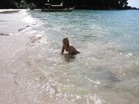 Dafne 3