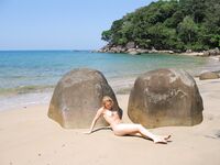 Dafne 4