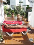 Nia 3