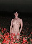 Lilla 2
