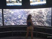Marike 2
