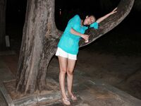 Livia 2