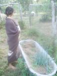Adeline 2