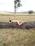 Adeline 2