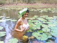 Adeline 3