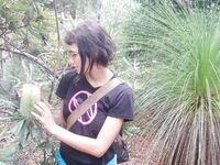 Adeline 6