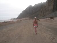 Taisia